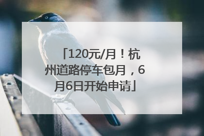 120元/月！杭州道路停车包月，6月6日开始申请